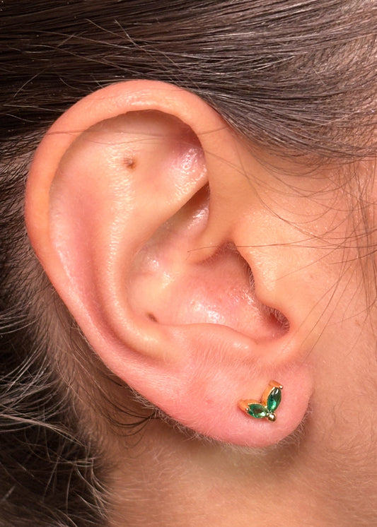 Aretas Capri Doradas