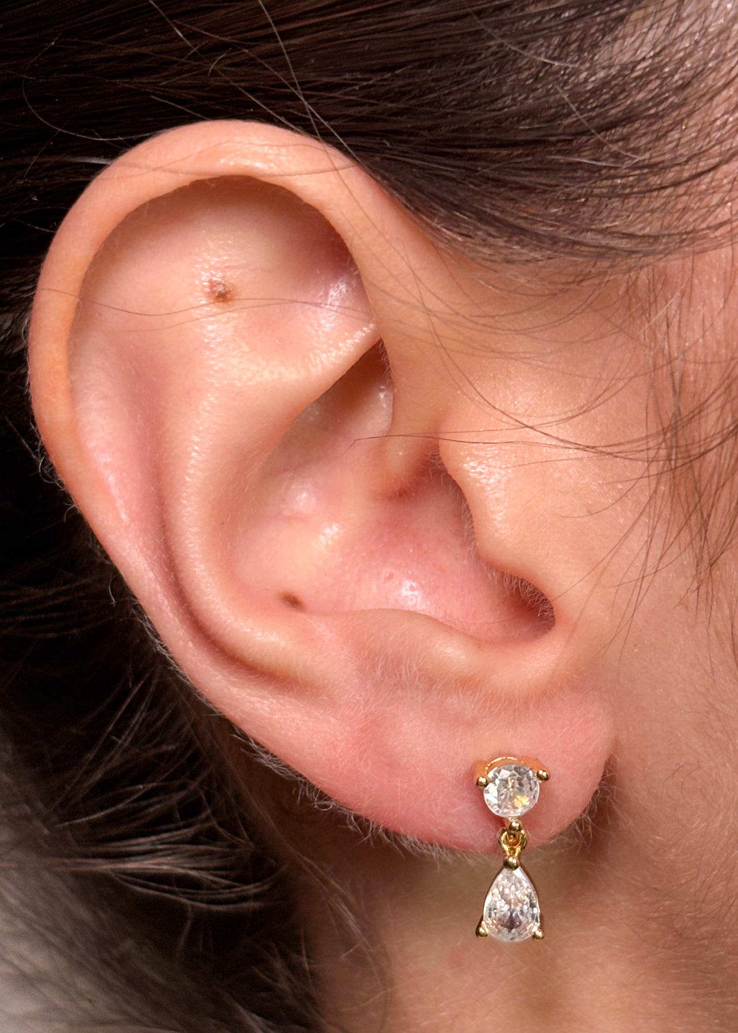 Aretas Riviera Doradas